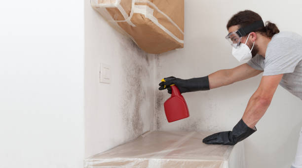 Professional Crawl Space Mold Remediation technician working in Gladstone, MI