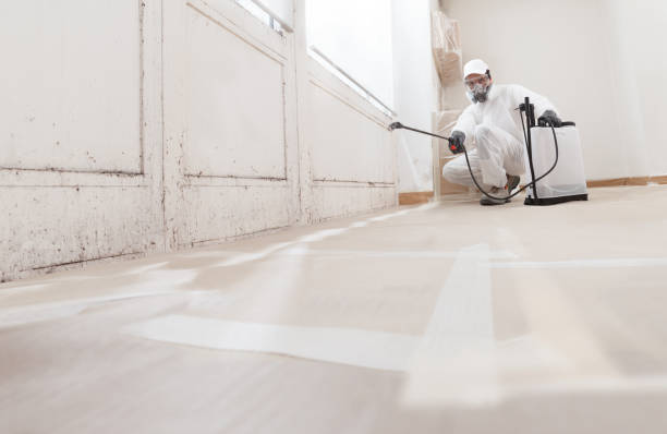 24/7 Emergency Crawl Space Mold Remediation experts in Gladstone, MI